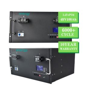 Phosphate LiFePO4 Lithium Battery Rechargeable With LED Indicator