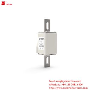 160A-550A DC1000V Electric Vehicle Fuse RSZ307-1-Q5Z Terminal Type Bolt-on Fuses