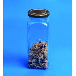 Lightweight Clear Plastic Boxes With Lids Square Body Screw Lid Sealing