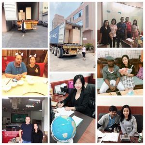 Multi-function High accuracy automatic cookies bread wafer food packaging