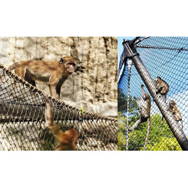 Professional Animal Enclosure Mesh / Animal Cage Wire Mesh For Small Mammals