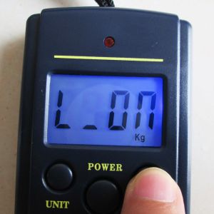 ABS Plastic Digital Hanging Scale With Multifunctional Net Weighing Function