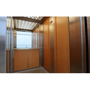 Exterior Wood Aluminum Composite Materials Cladding/Wall Panel 4mm