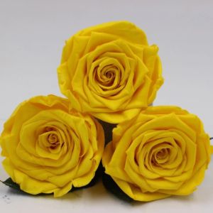 Wholesale real preserved rose head with fresh rose smell everlasting rose