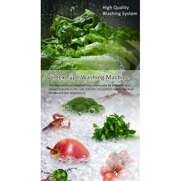 Jiuying 250L Single tank fruit and vegetable cleaning machine with full 304 stainless steel body