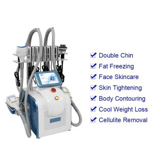 650nm Portable Mini Fat Freezing Cryolipolysis Body Slimming Machine