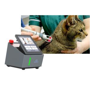 China 8W Pet Laser Therapy Machine For Acute Chronic Conditions on sale