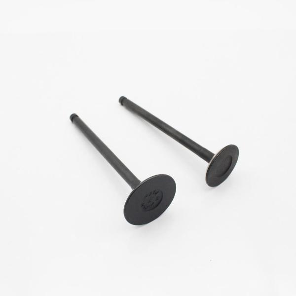 6D16T Cylinder Exhaust Valve