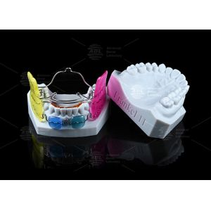 Children And Adults Frankel II Appliance Supporting Occlusion Recovery