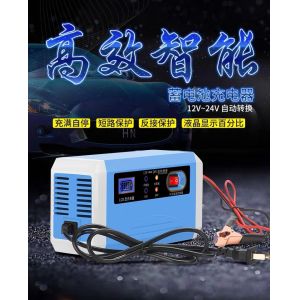 Smart Lead Acid Motorbike Battery Trickle Charger 220v Dc For Electric Scooter