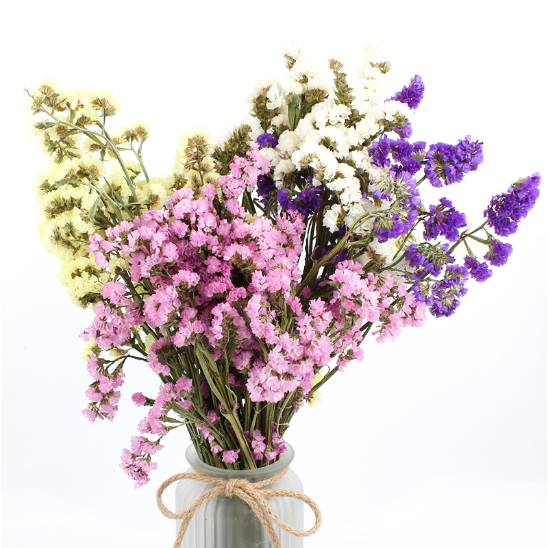Fashion Style Beautiful Dried Flowers Statice Limonium Forget Me Not
