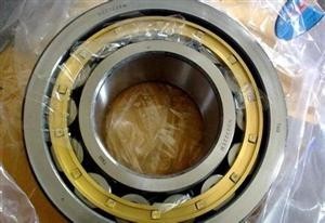 Cylindrical Roller Bearing NU5048 M