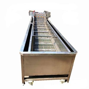 Automatic Vegetable Fruit Air Bubble Washing Machine