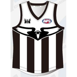 Quality Australian Football Afl Team Jumpers , 100% Polyester 300gsm Retro Afl Jumpers for sale
