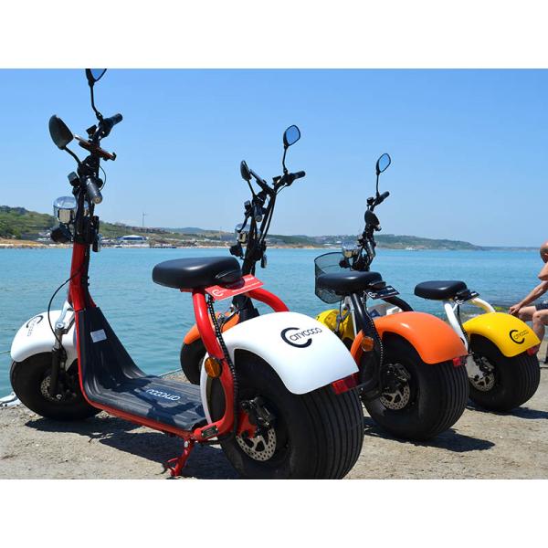 Ecorider 2 Wheel Electric Bicycle Scooter , Lt019 Citycoco Bike With Double Seat