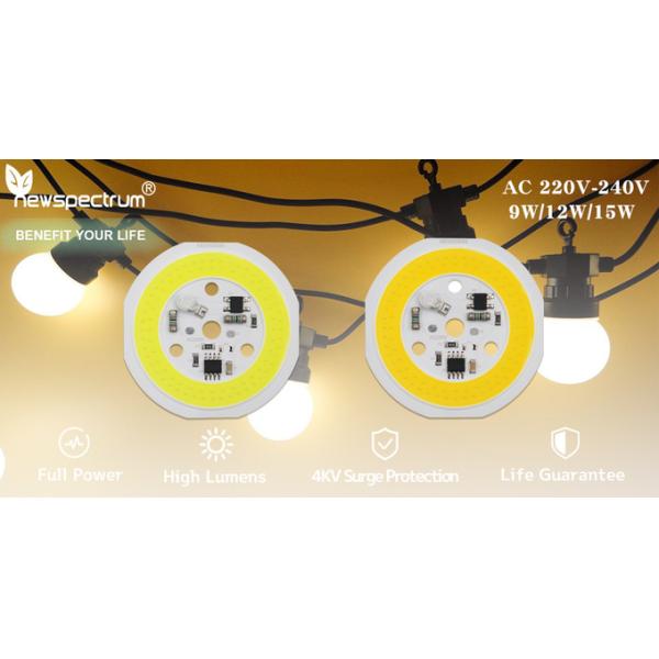 220V AC COB LED Chip High Brightness 12W 15W Warm LED Module
