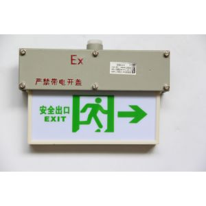 Customised Surface Pattern 3w 220VAC Explosion Proof Exit Light