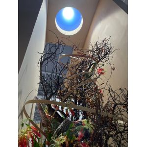 Quality Smart LED Skylight Panel for sale