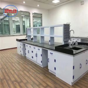 Customizable PP Laboratory Furnitures for Enhanced Functionality