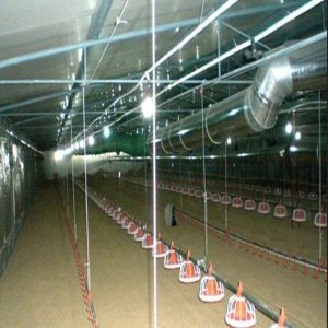 Automated Ventilated Steel Poultry House with Gable Roof