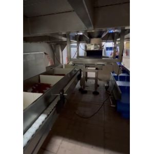 Automatic Multihead Weigher Packing Machine High Accuracy Check Weigher