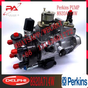 China 8920A714W DELPHL DIESEL FUEL INJECTION DP200 PUMP  For New Holland DP200 on sale