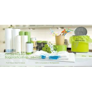 Eco Friendly New Coming Supplies Small Black Heat Seal Zip Lock Compostable