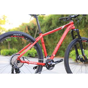 Custom Exercise Bike Sizes 29 Inch Mountain Bike with 22 Speed Gears and Smooth