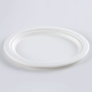 Biodegradable Sugarcane Pulp Party Dinnerware Plate Sugarcane Bagasse Paper