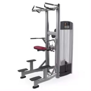 Commercial Gym Equipment Steel Pin Loaded Pull-up Bar and Dipping Machine for