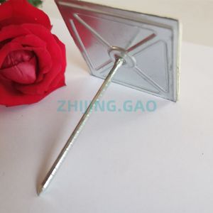 Self Stick Insulation Support Nail With Self Locking Washer