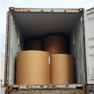 100% Virgin Pulp Colored Paper and Bristol Board in Sheet Roll Size