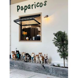 Condensation-Resistant Folding Window Technology Preventing Moisture Build-Up in