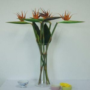 Real Touch PU Bird of Paradise ,