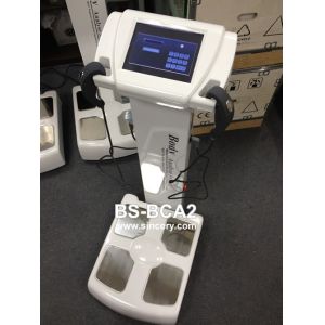 Body Composition Analyzer For Health Diagnosis Test / Total Body Water Rate