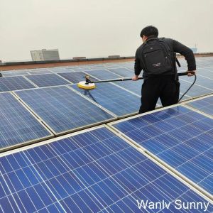 Trend-Setting Solar Panel Cleaning Brush and Pole with Portable Lithium Battery