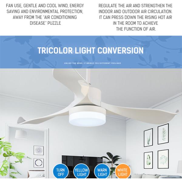 220V Ceiling Fan Light LED Energy Remote Control Ceiling Light Fan Indoor Living Room White Ceiling Fan(WH-CLL-21)
