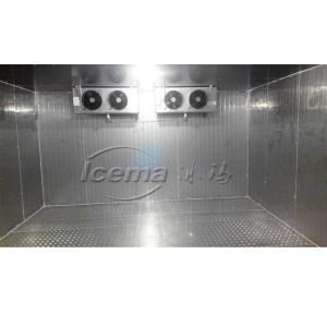 High quality Cold Room by keeping food fresh in industrial