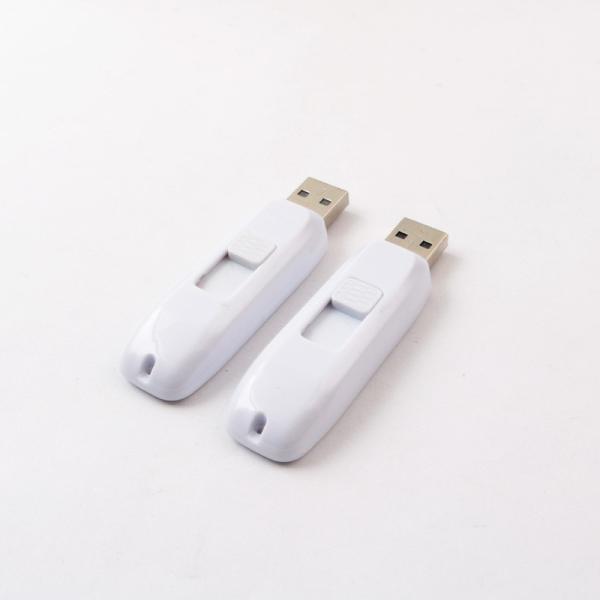 1G/ 2G/ 4G/ 8G/ 16G/ 32G/ 64G/ 128G/ 256GB/ 512GB/ 1TB Plastic USB Flash Drive