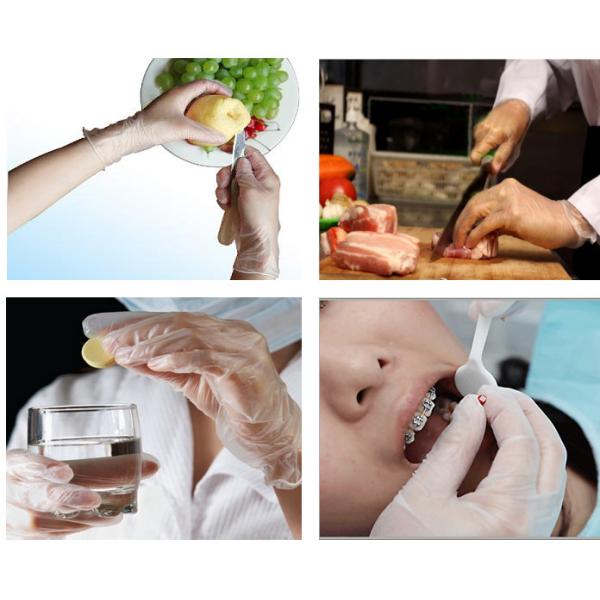 Food Service Powder Free Vinyl Gloves Latex Free Vinyl Gloves Powder Free Medium