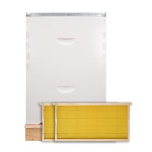 20mm Thickness Plastic Frame Complete Bee Hive Kit With Foundation