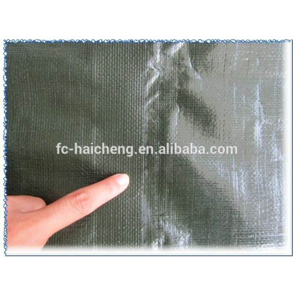 PE tarpaulin for sandbox cover use,customized tarpaulin cover