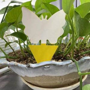 Affordable and Plants Garden Insert Yellow Glue Sticky Fly Insect Termite Trap