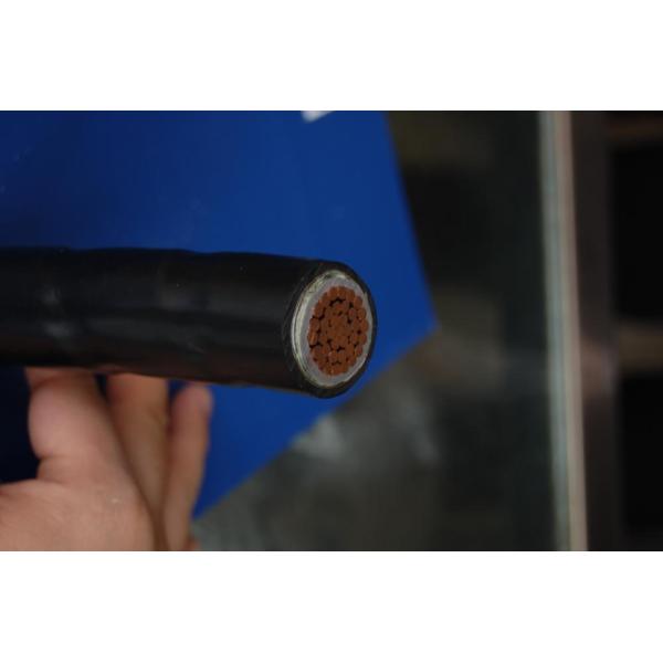 12/20kv Single core CU /AL conductor XLPE insulated d YJSV YJLSV power cable