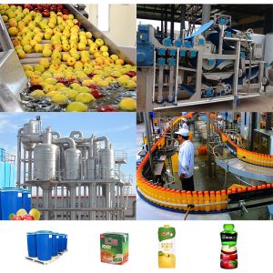 Industrial Apple Puree Production Line Automatic Apple Juicing Packaging Machine