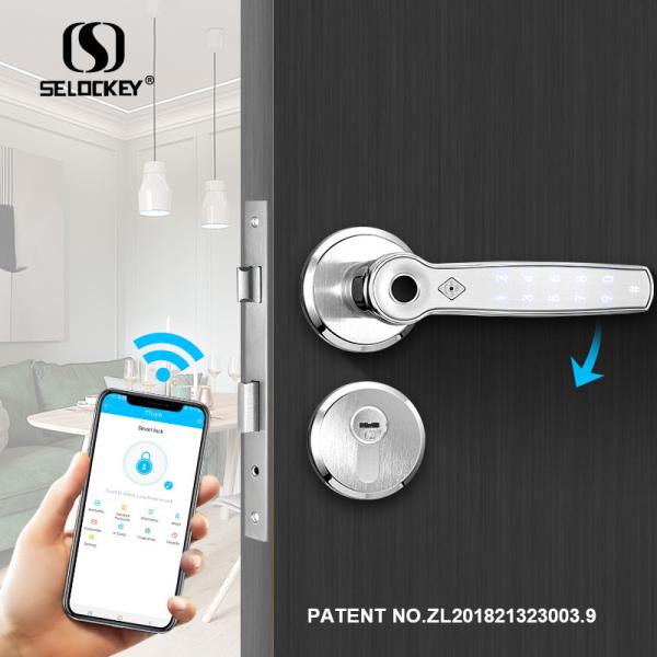 Buy Automatic Electronic Outdoor Gate Door Bluetooth IP55 House Smart Locks at wholesale prices