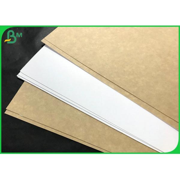 Virgin Kraft Board White Top Coated Surface Kraft Paper for Food Lunch Packaging