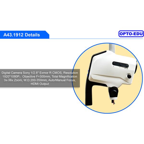 OPTO EDU A43.1912 Digital Video Colposcope HDMI LED Continuous Zoom 3x-36x Straight Stand