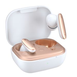 HIFI Noise Cancelling Wireless Bluetooth Earbuds IPX4 Waterproof Dual Chips