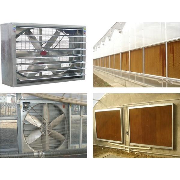 Buy Poultry Equipment Cooling Pad In Port Sudan at wholesale prices